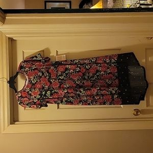 NWT dipped Carly hi-low dress